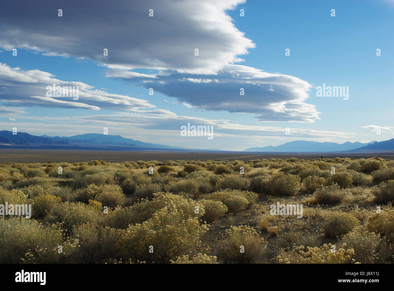 desert, wasteland, steppe, shrub, mountain range, mountain, blue