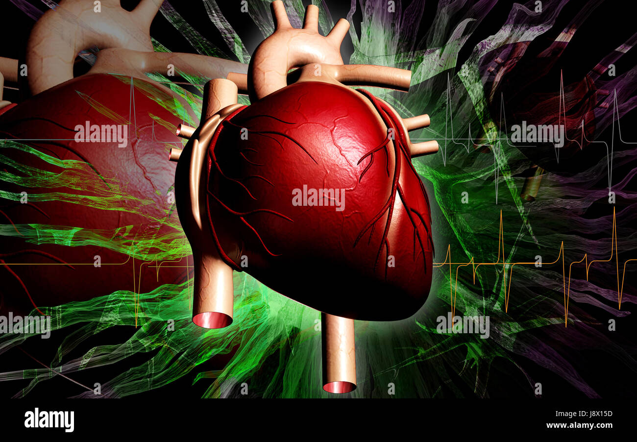 Circulation Graphics education, health, medicinally, medical, circulation, graphics, colour ...