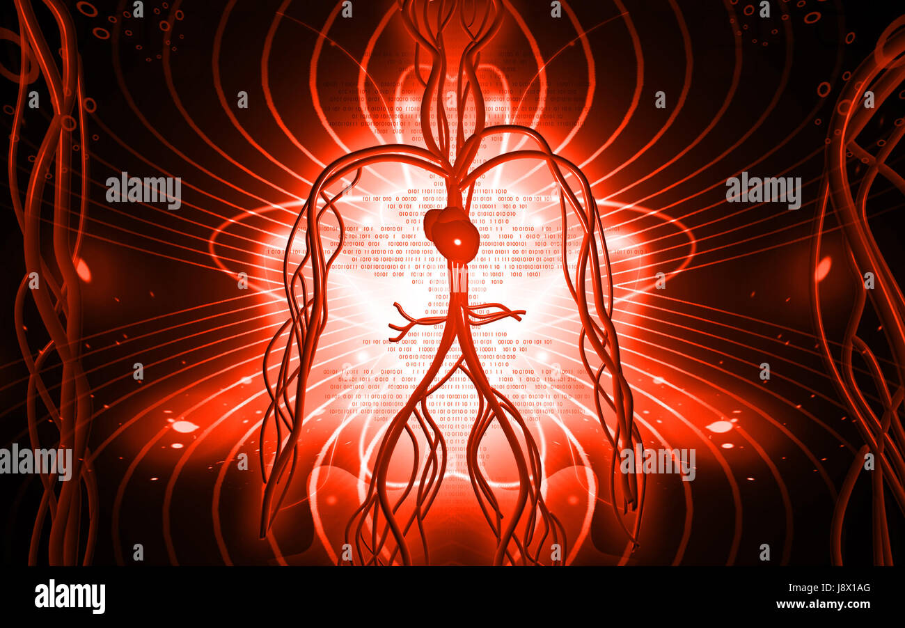 Object Education Circulation Graphics Colour Human Human Being