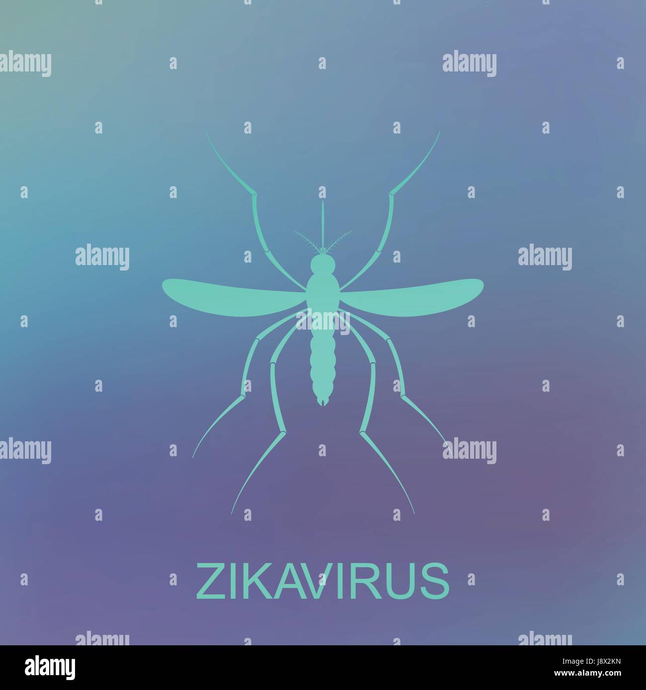 Zika mosquito vector. Virus alert. Aedes Aegypti isolated on blue ...