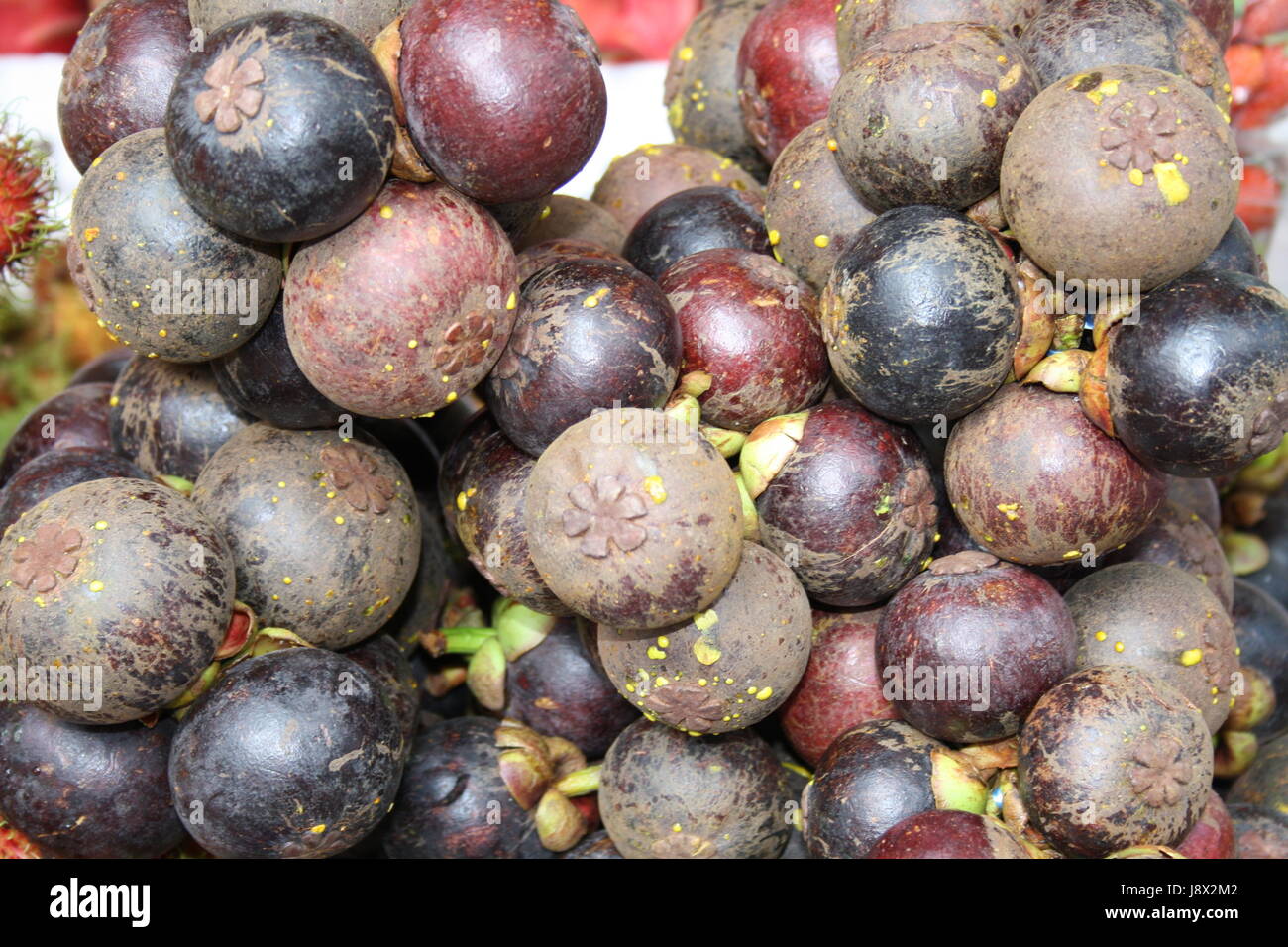 fruit, exotic, tropical fruit, asia, ripe, malaysia, fruit, purple