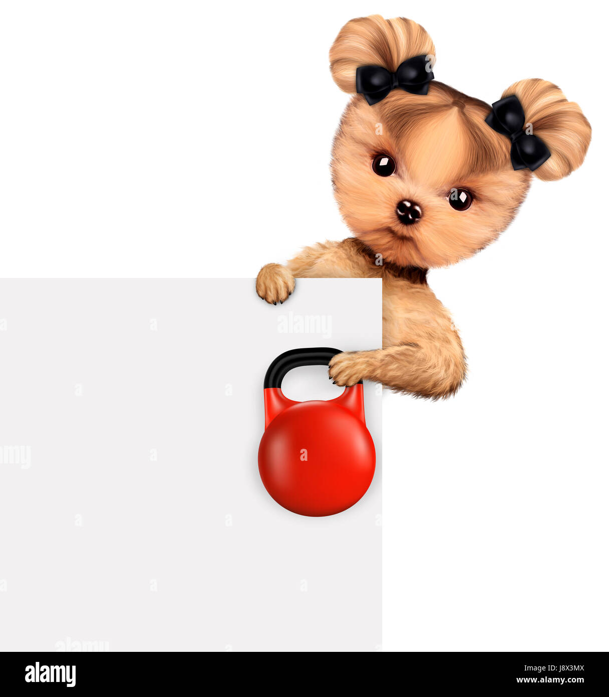 Funny dog training with kettlebell behind banner Stock Photo - Alamy