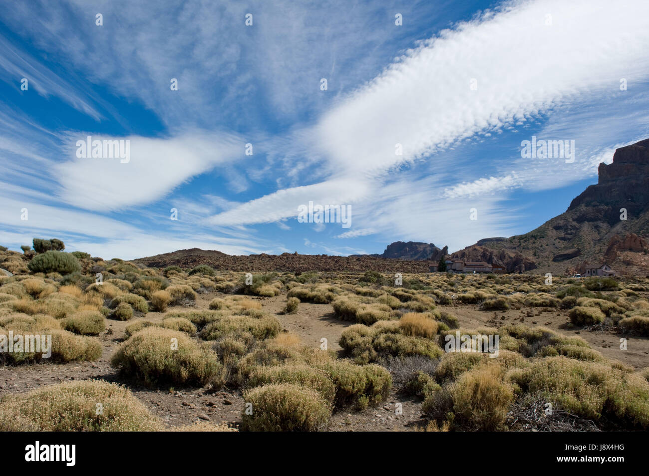 national park, horizontal, canary islands, level, teneriffa, landscape