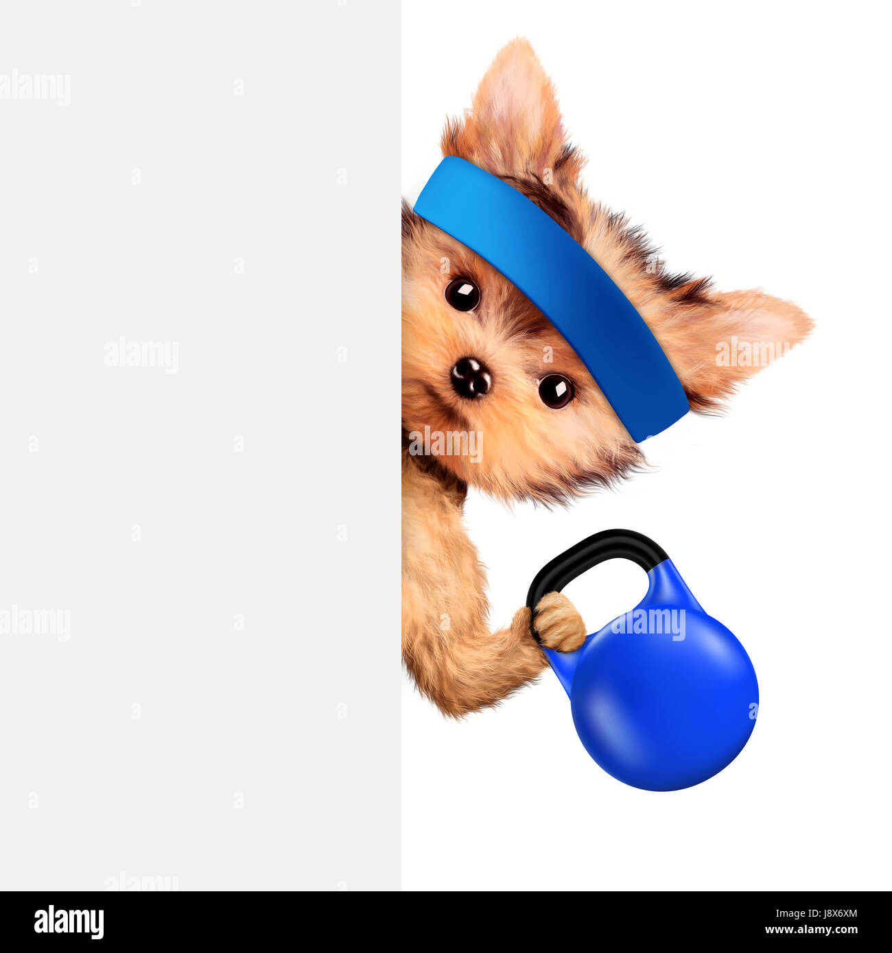 Funny dog training with kettlebell behind banner Stock Photo