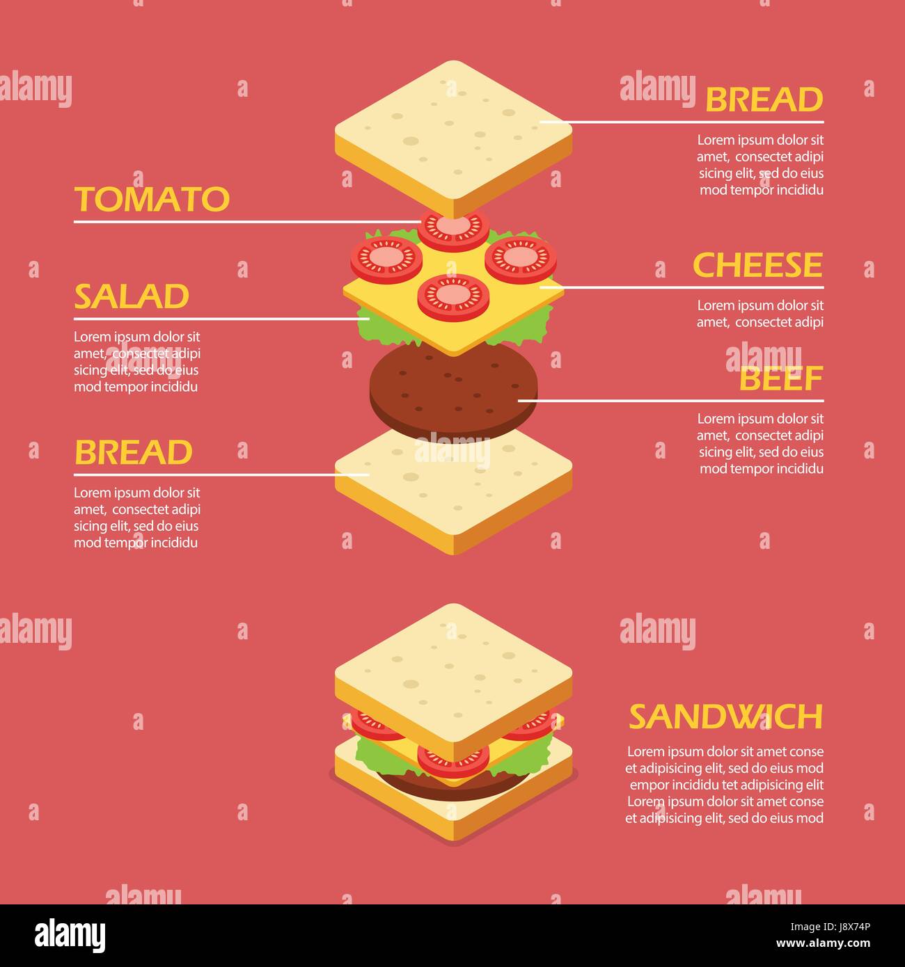 Isometric of Sandwich ingredients infographic. Vector illustration ...