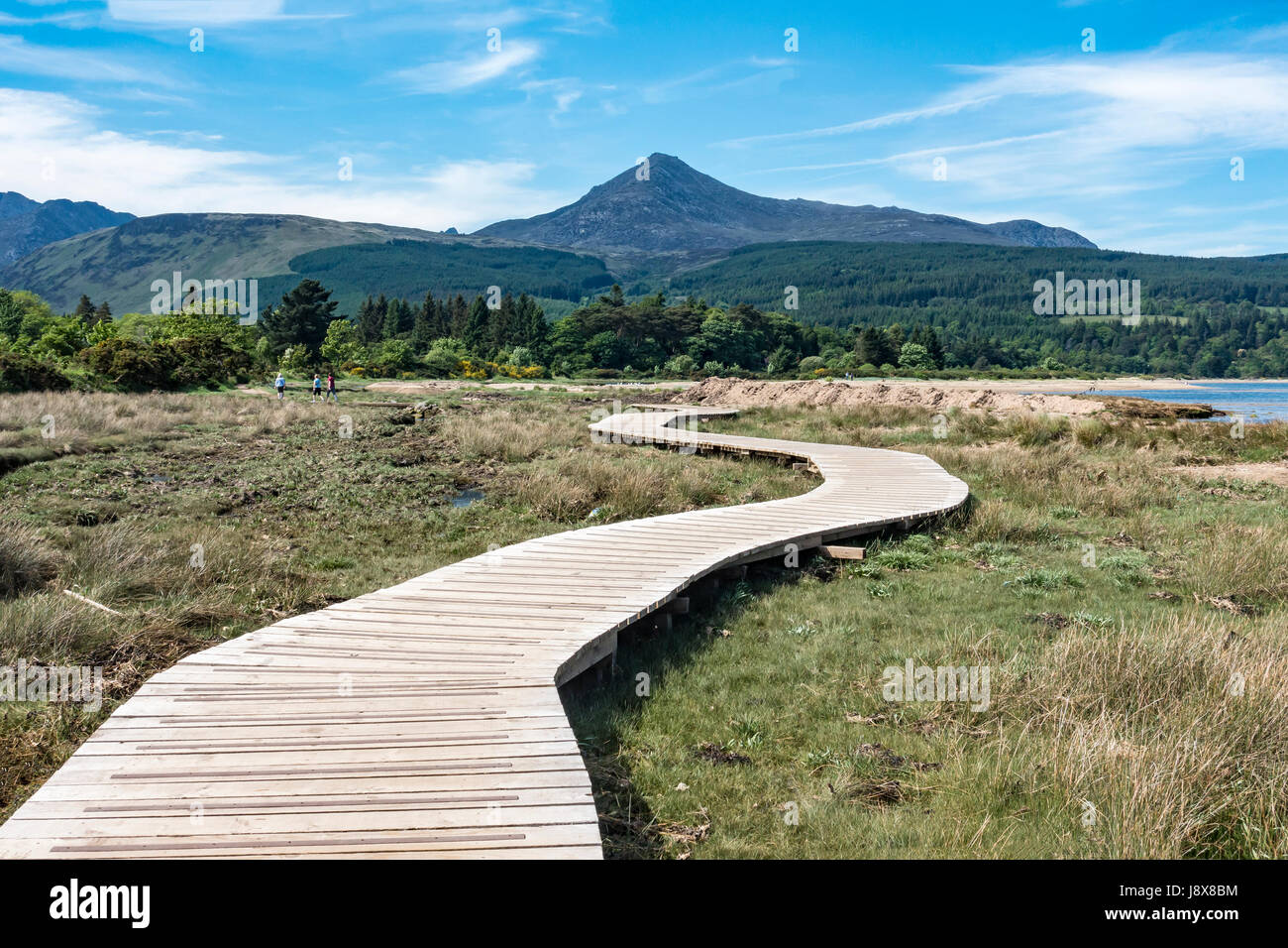 View from the Fishermans walk round Brodick Bay Isle of Arran North Ayrshire Scotland showing wooden duckboard over soft ground and Goat Fell behind Stock Photo