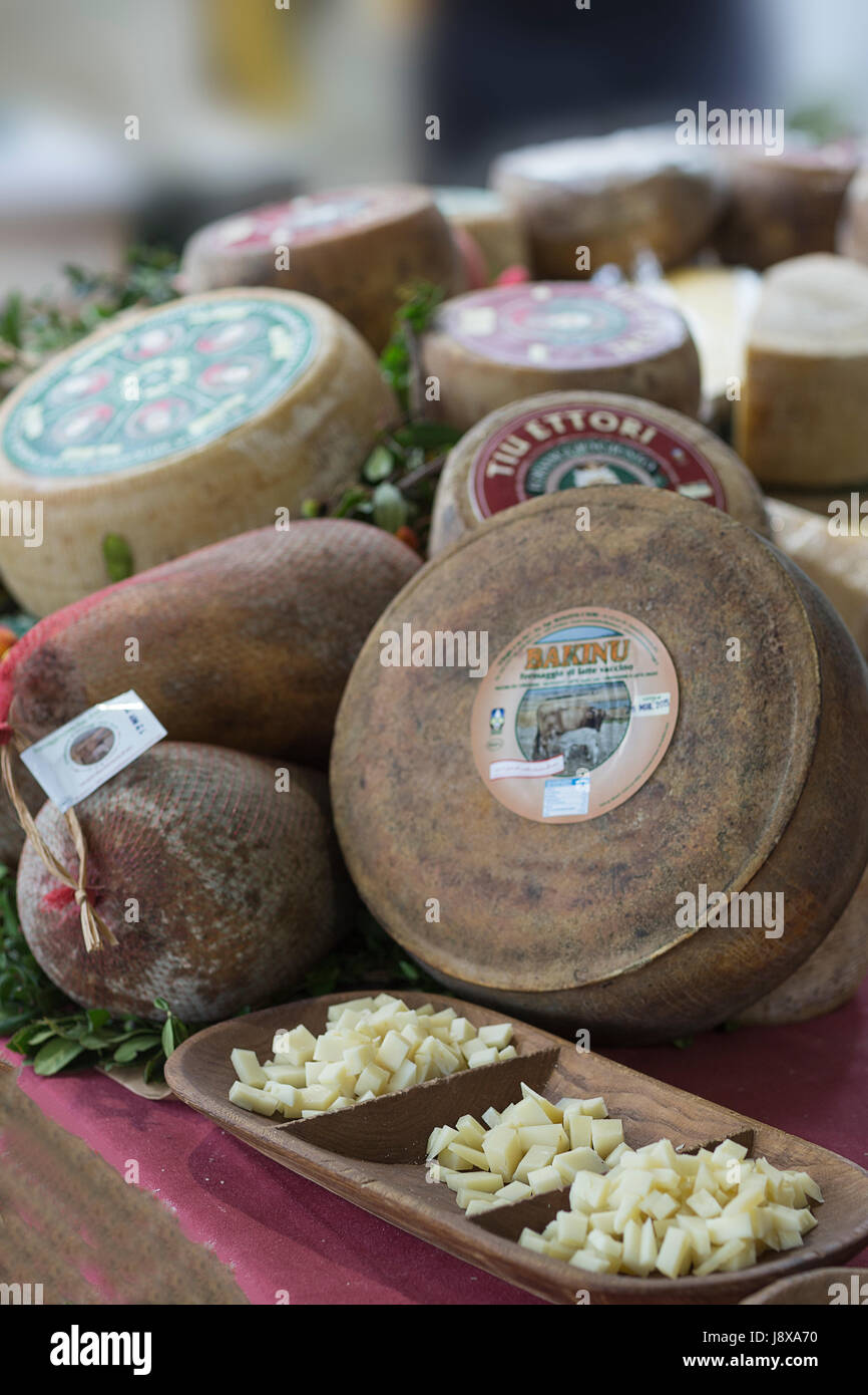 Typical Sardinian cheese based on sheep  milk,Sardinia,Italy,Europe Stock Photo