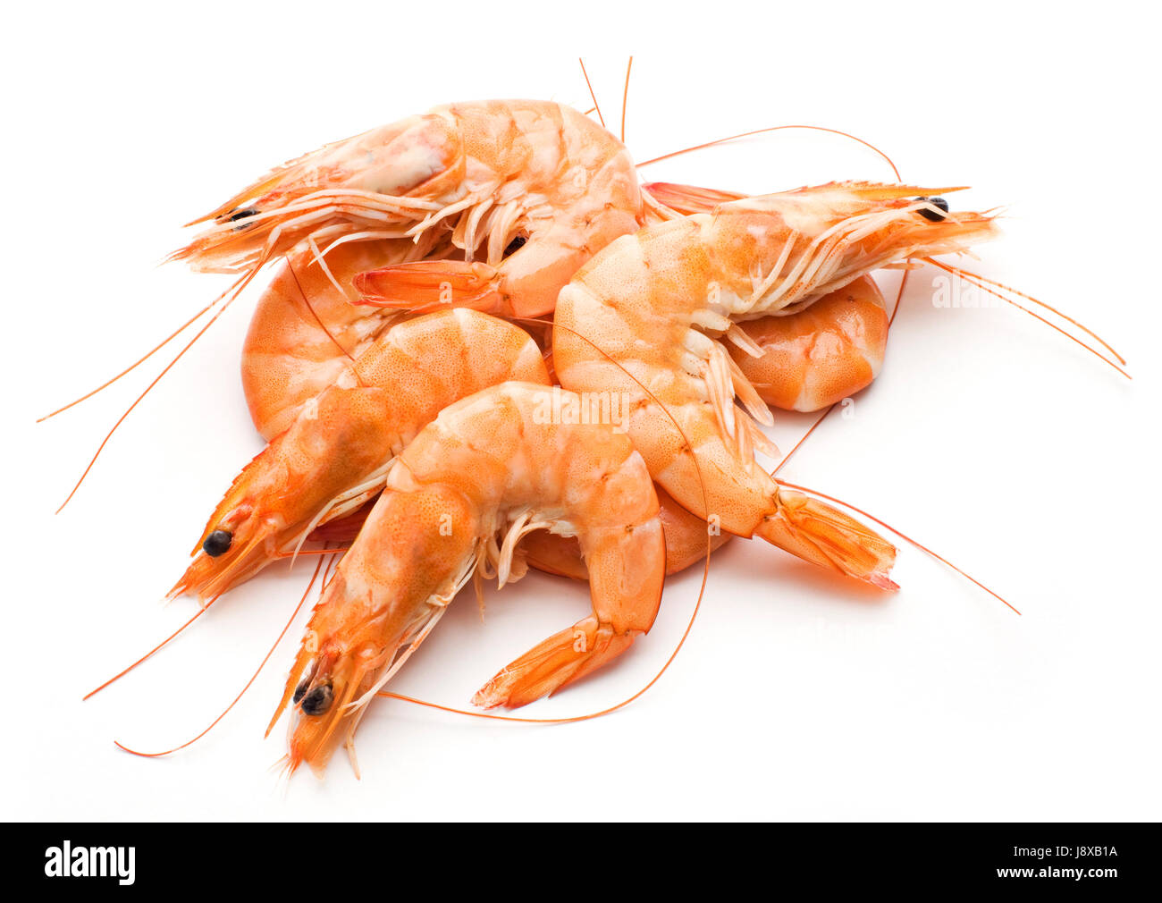 fish, shrimp, seafood, food, aliment, isolated, fish, eyes, shrimp