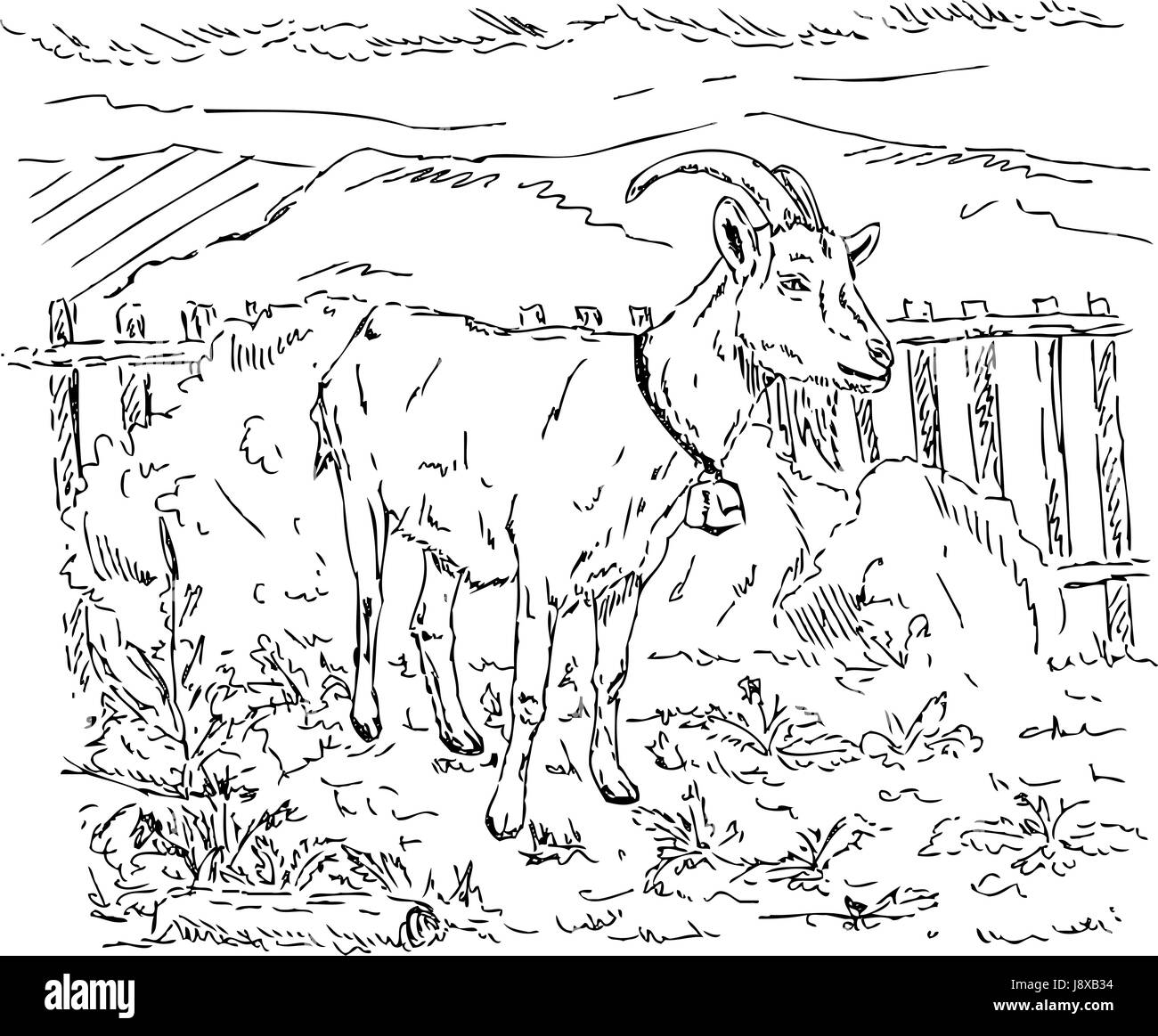 Рисунок козел в огороде раскраска