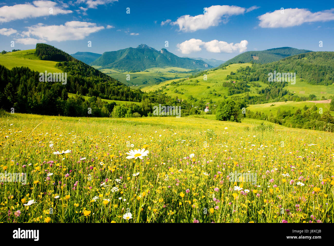 slovakia, nature, travel, mountains, europe, radio silence Stock Photo - Alamy