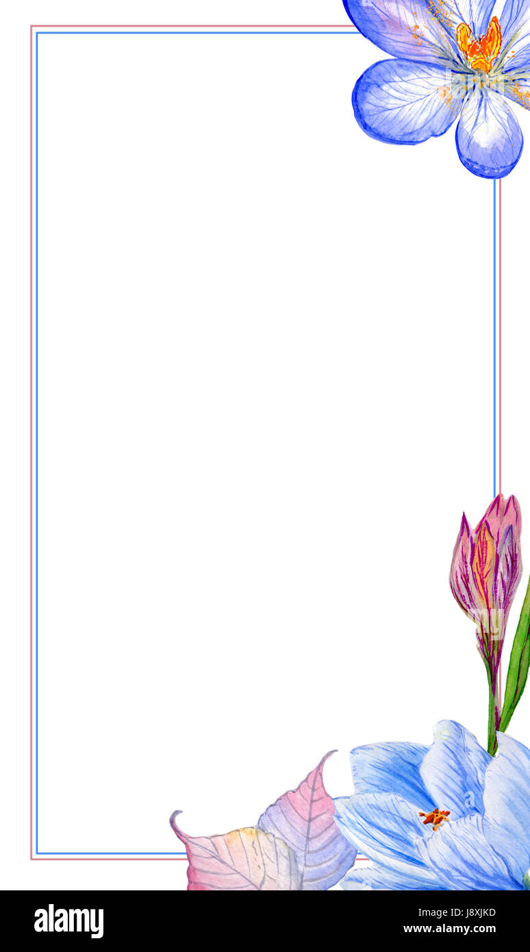 Wedding Invitation Diy Template Crocuses Handmade Watercolor Stock