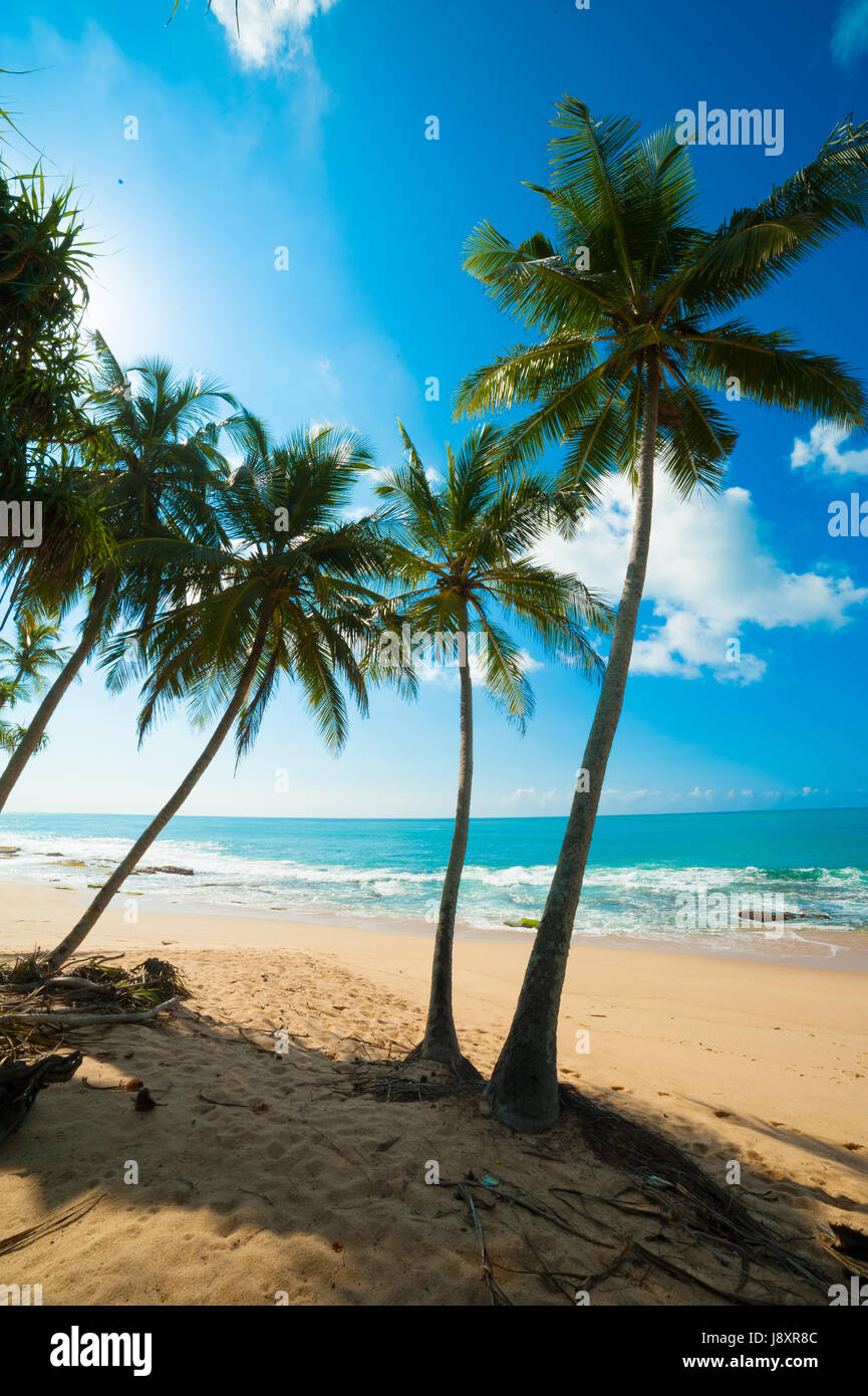Beautiful bay beach tropical hi-res stock photography and images - Alamy