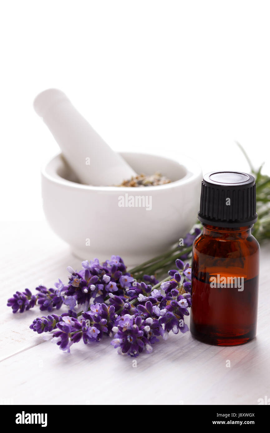 lavender flowers and essential oil over white background. Spa and ...