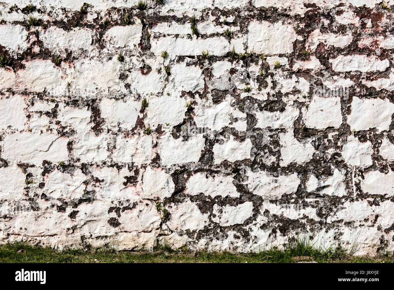 Painted exterior wall with flaking paint Stock Photo Alamy