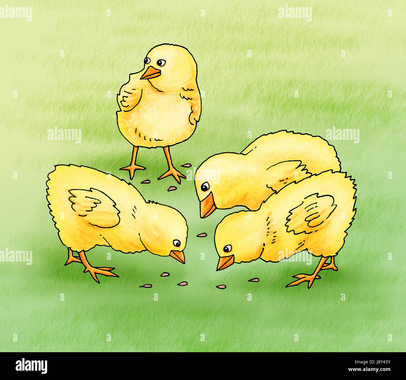 Feeding of chicks - jpg illustration Stock Photo