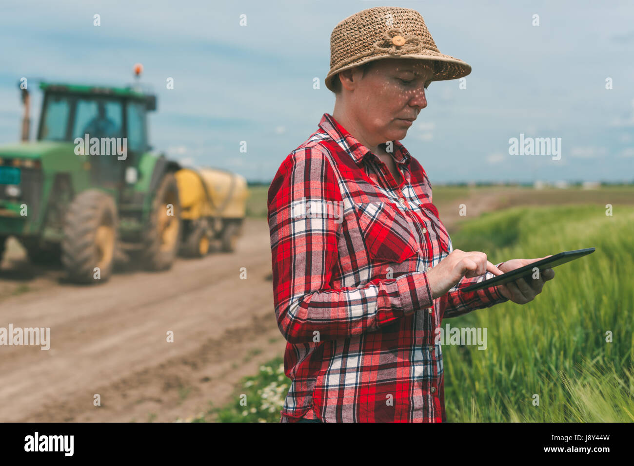Smart farming, using modern technology in agricultural activity, female farmer agronomist with digital tablet computer using mobile app in wheat crops Stock Photo