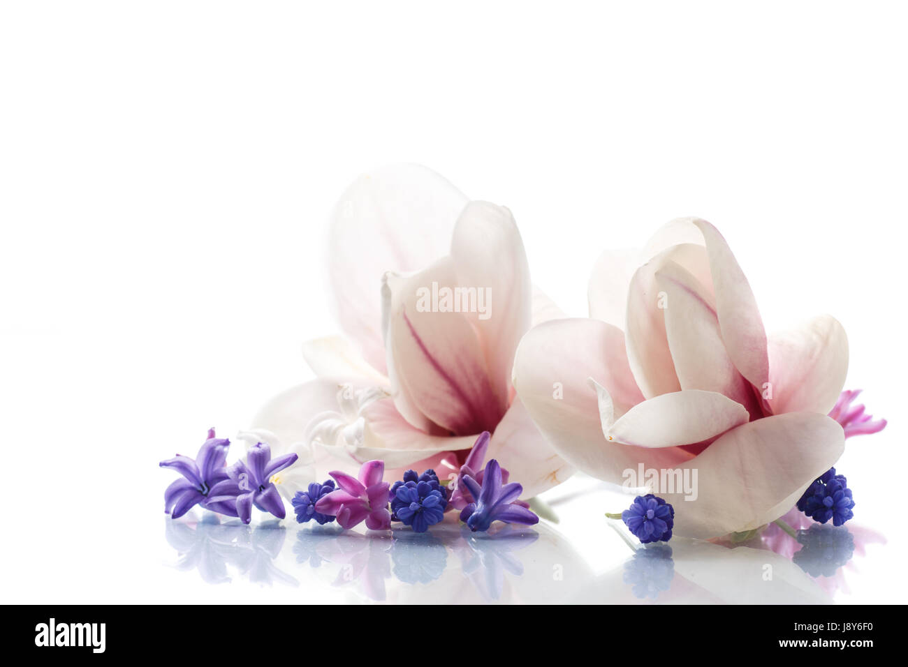 Set of spring flowers with magnolia Stock Photo - Alamy