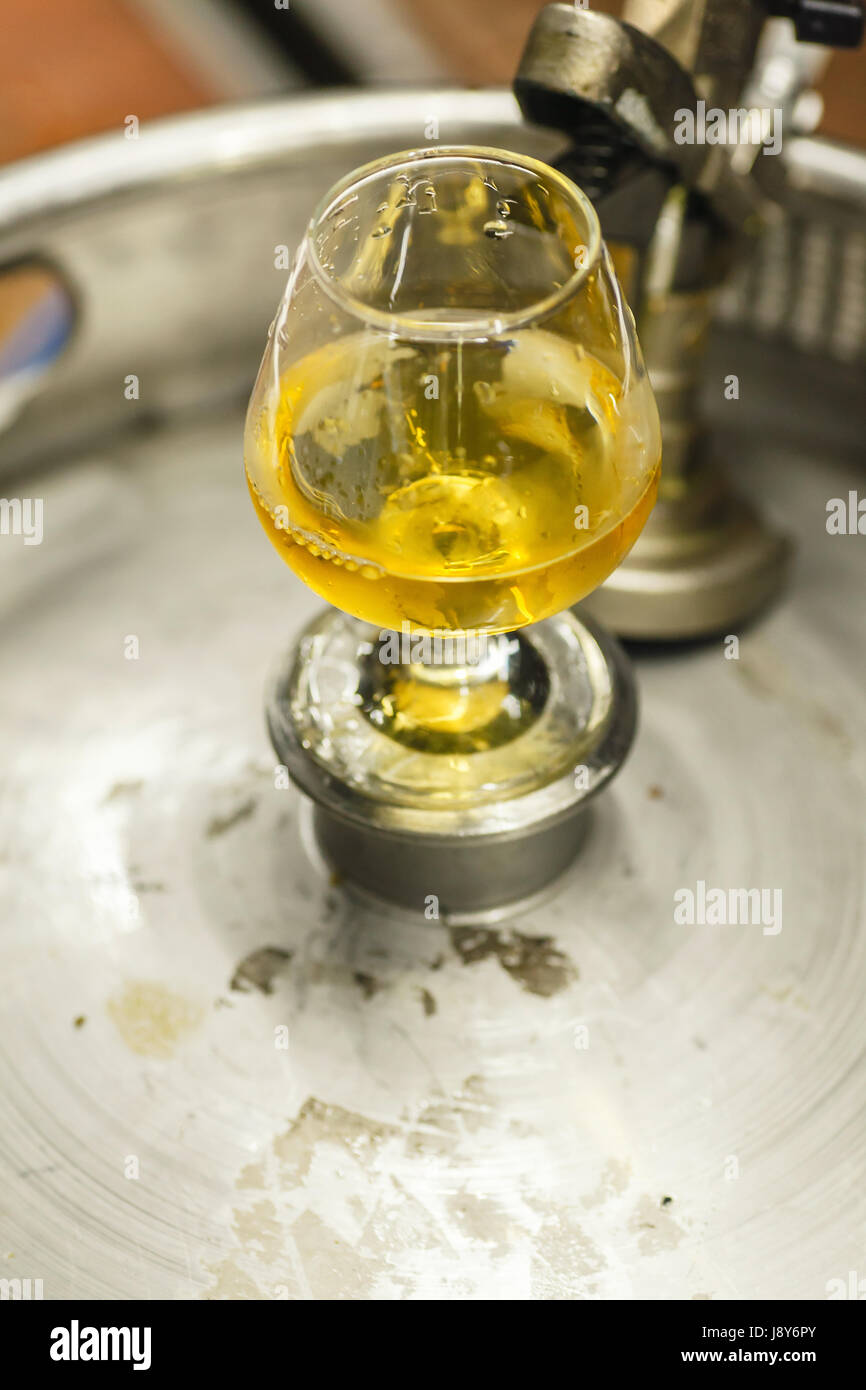 Tasting glass with clear lager beer standing on a stainless steel keg at a brewery Stock Photo