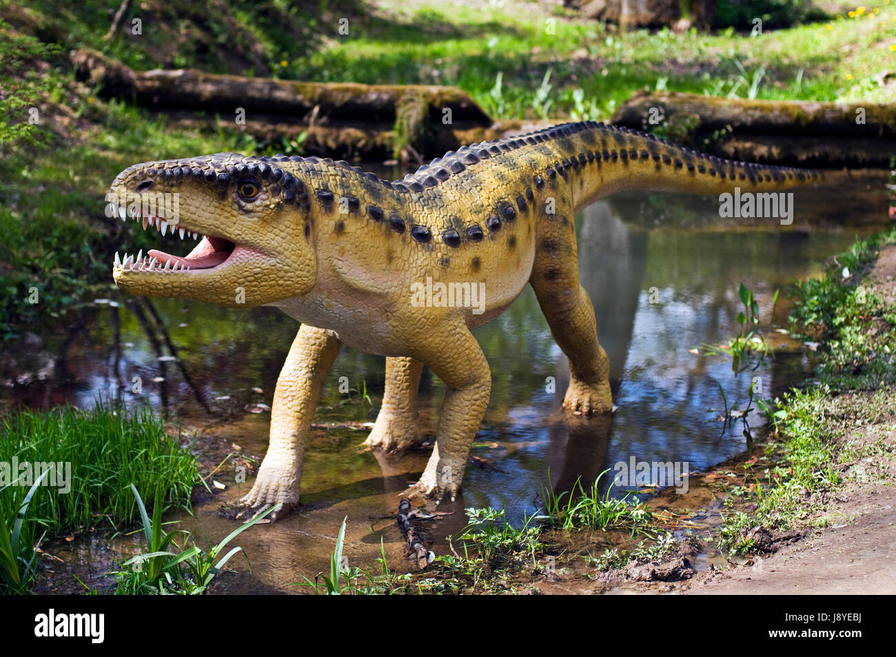 crocodile, monster, dinosaur, jurassic, prehistoric, danger, closeup, animal, Stock Photo