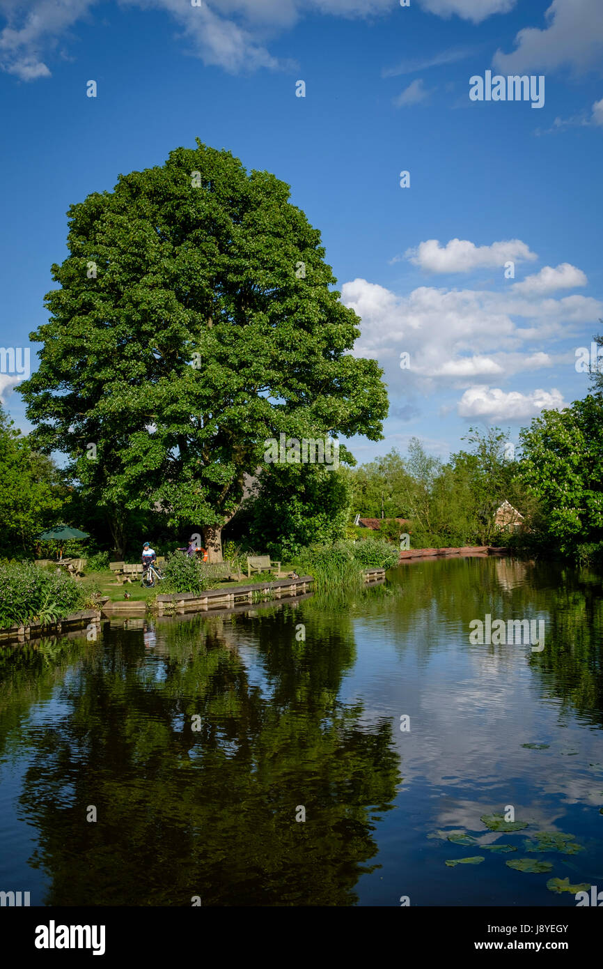 Area around Deadham Lock and Flatford Mill on the River Stour,   East Bergholt, Suffolk , UK. The area refered to as 'Constable Country', in which the Stock Photo