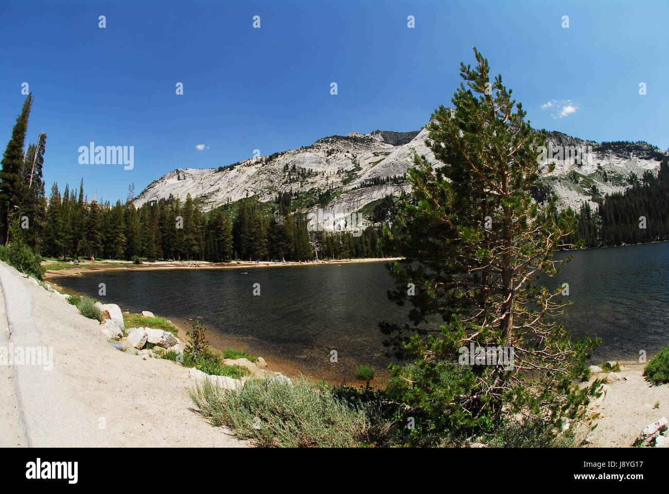 Mountain side road, Yosemite National Park, USA Stock Photo