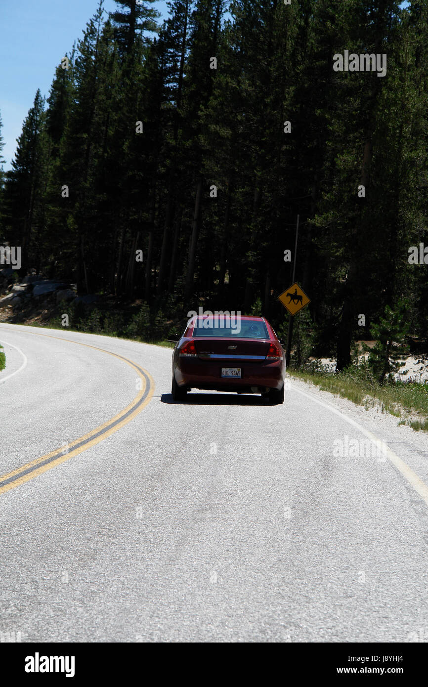A Vehicle, car. speeds along the road in yosemite valley Yosemite National Park (california