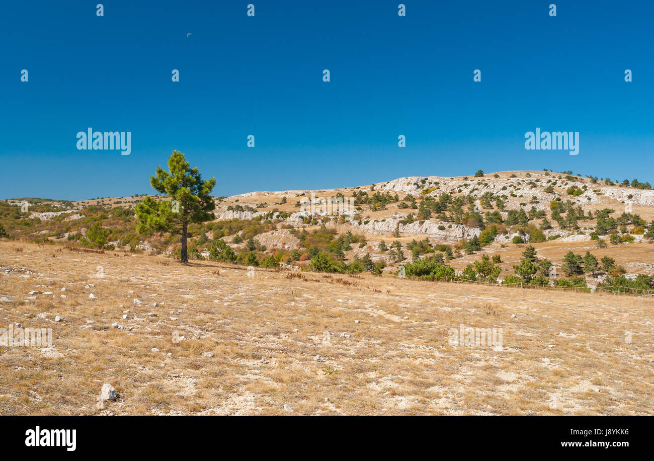 Beautiful autumnal landscape on Ai-Petri mountain tableland in Crimean peninsula Stock Photo