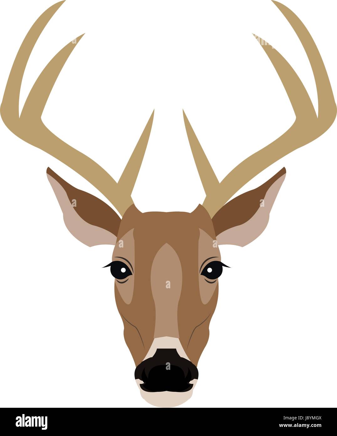 Looking at deer Stock Vector Images - Page 3 - Alamy, image size:1076x1390