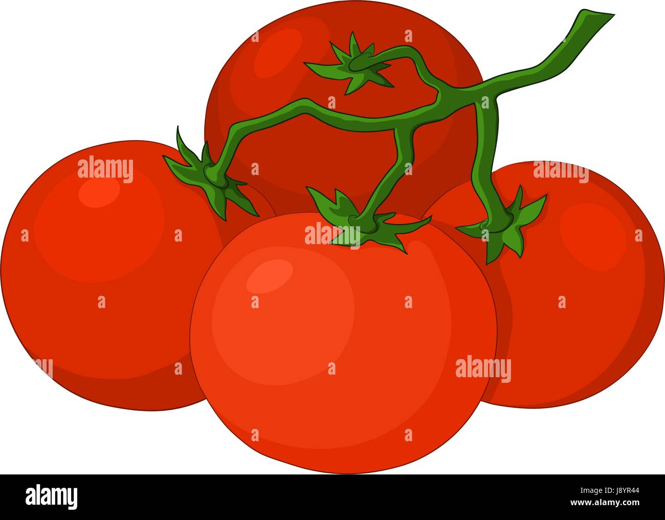 Tomato picking green fruit Stock Vector Images Alamy