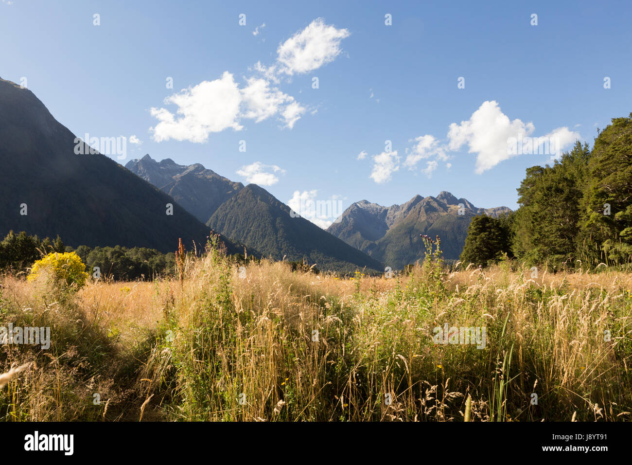 View across the Eglinton Valley from the Milford Highway, Fiordland National Park, South Island