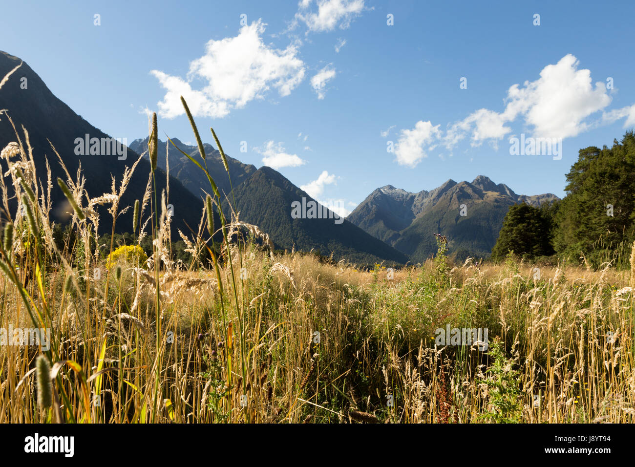 View across the Eglinton Valley from the Milford Highway, Fiordland National Park, South Island