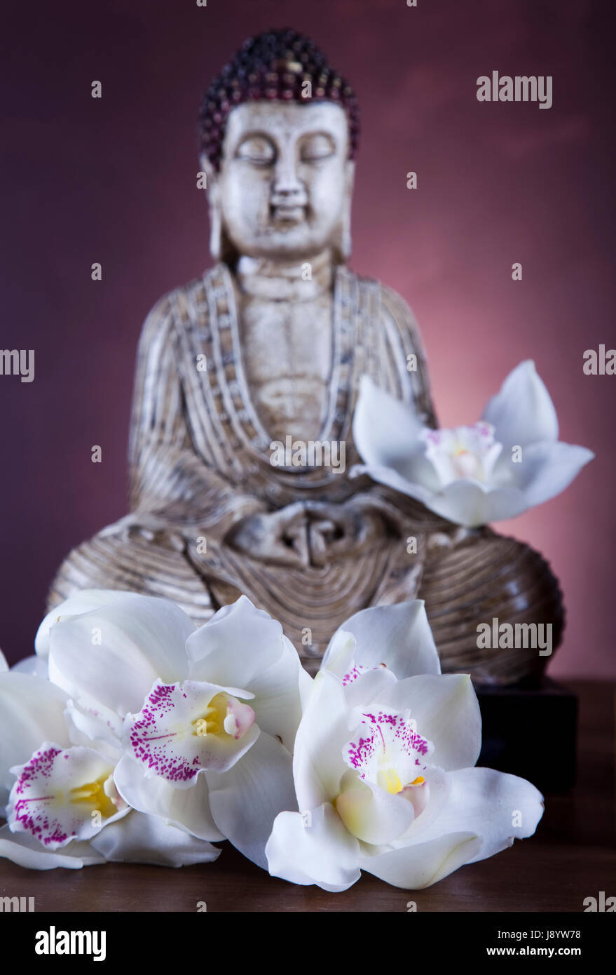 religion, asia, buddha, meditation, zen, buddhism, shine, shines