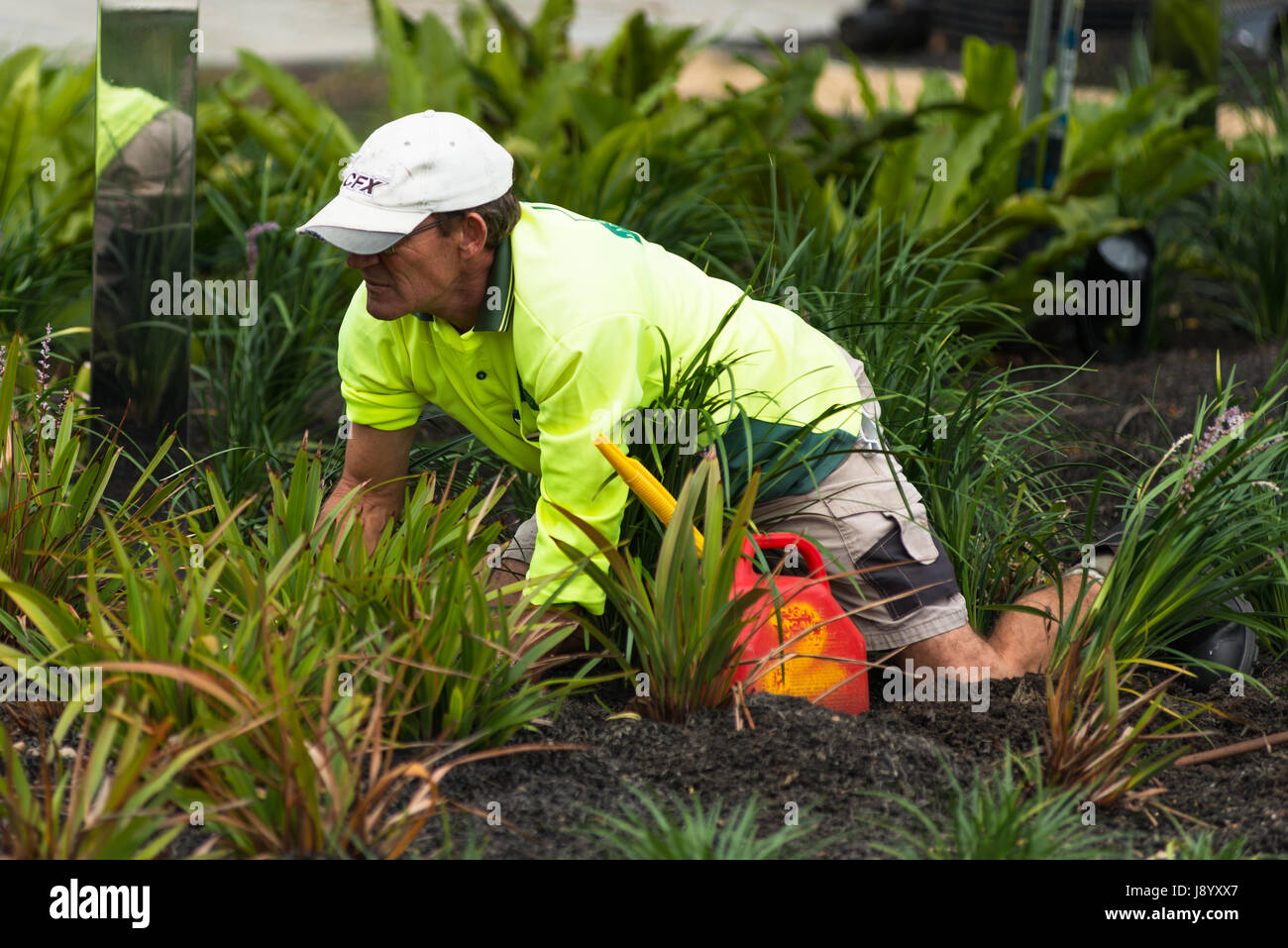 Australian gardening hires stock photography and images Alamy