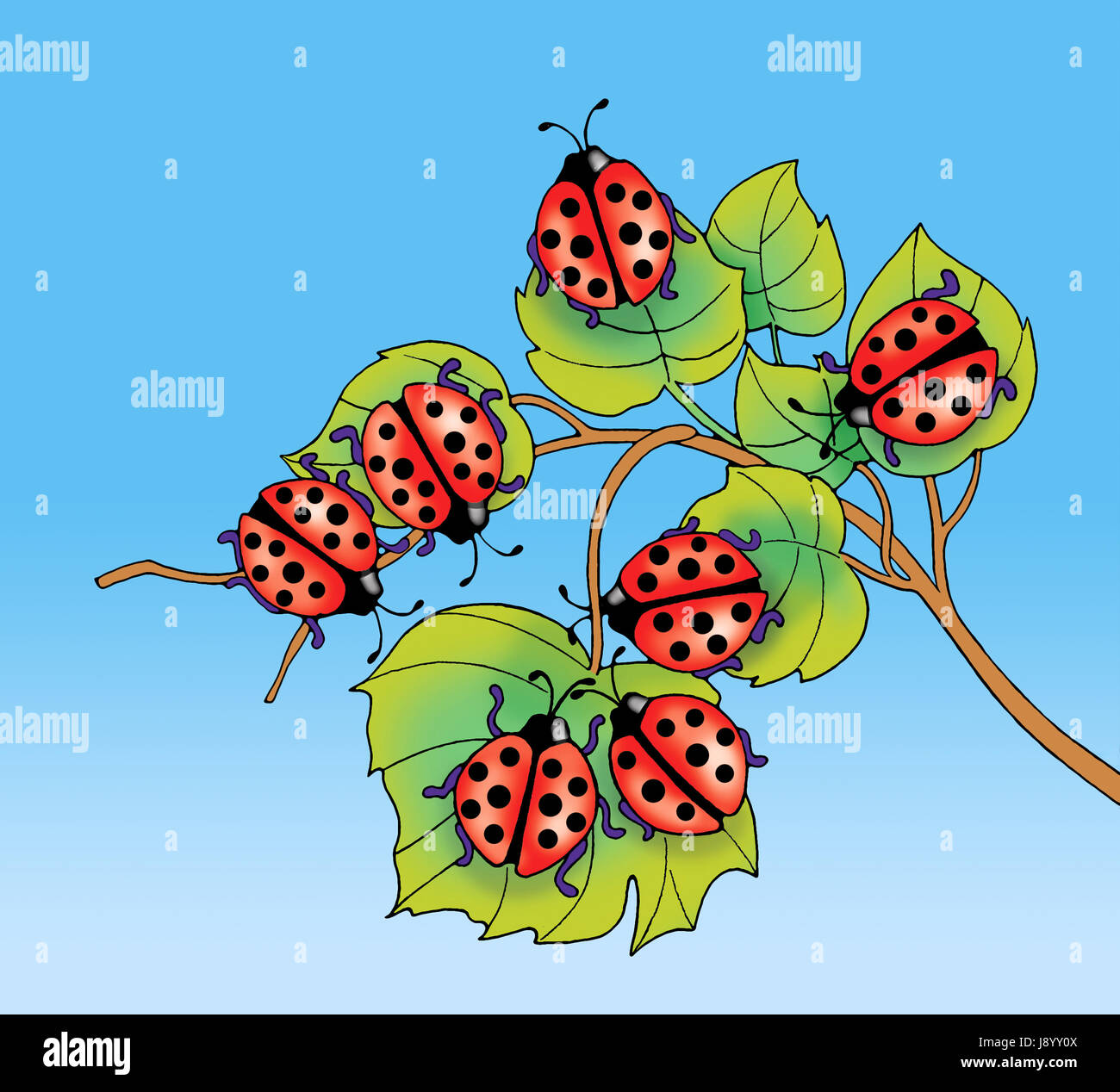 Ladybugs on leaves - jpg illustration Stock Photo - Alamy