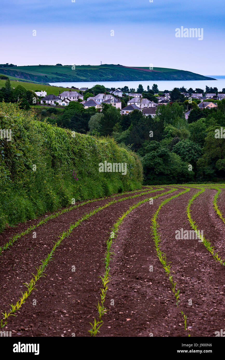 View from St Blazey down into the village of Par. Par is a town built to house the once thousands of emplyees at the local china clay works. Stock Photo