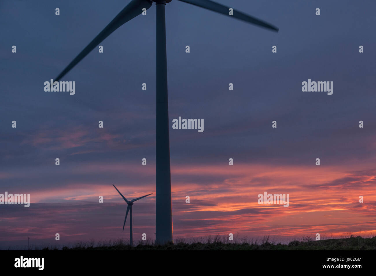 wind turbines at dusk Stock Photo