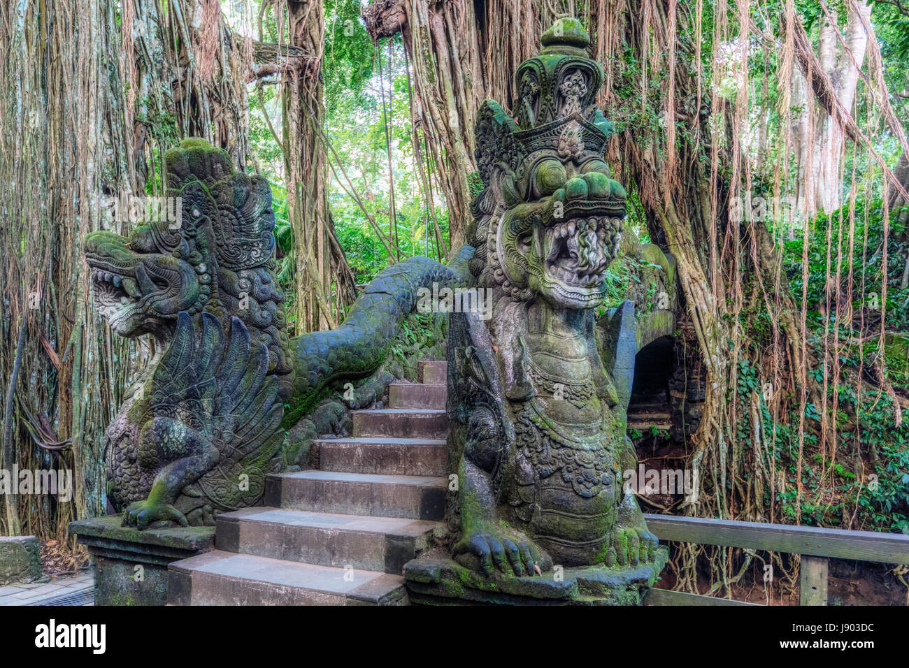 Monkey Forest, Ubud, Bali, Indonesia, Asia Stock Photo
