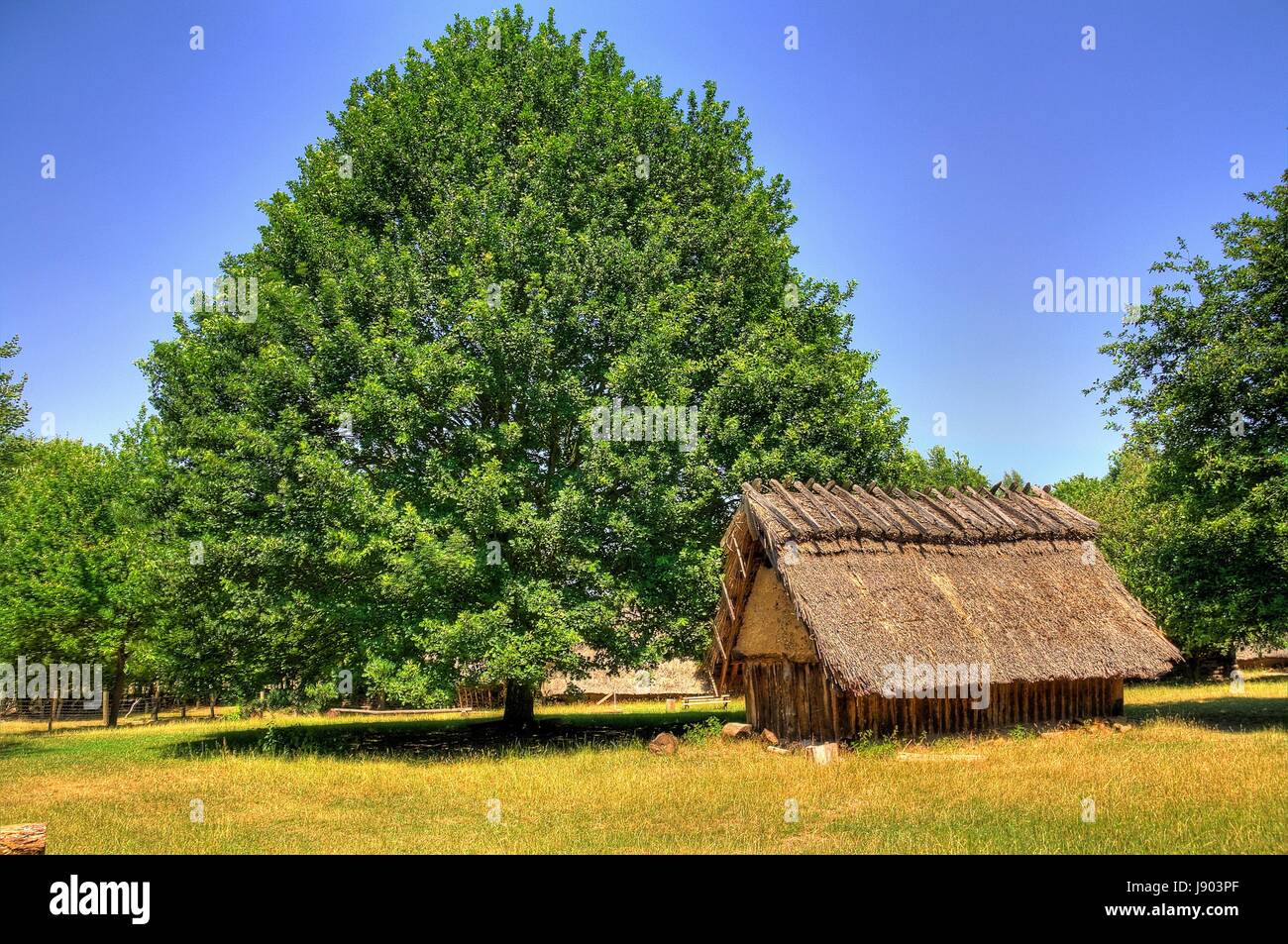 old straw house Stock Photo Alamy