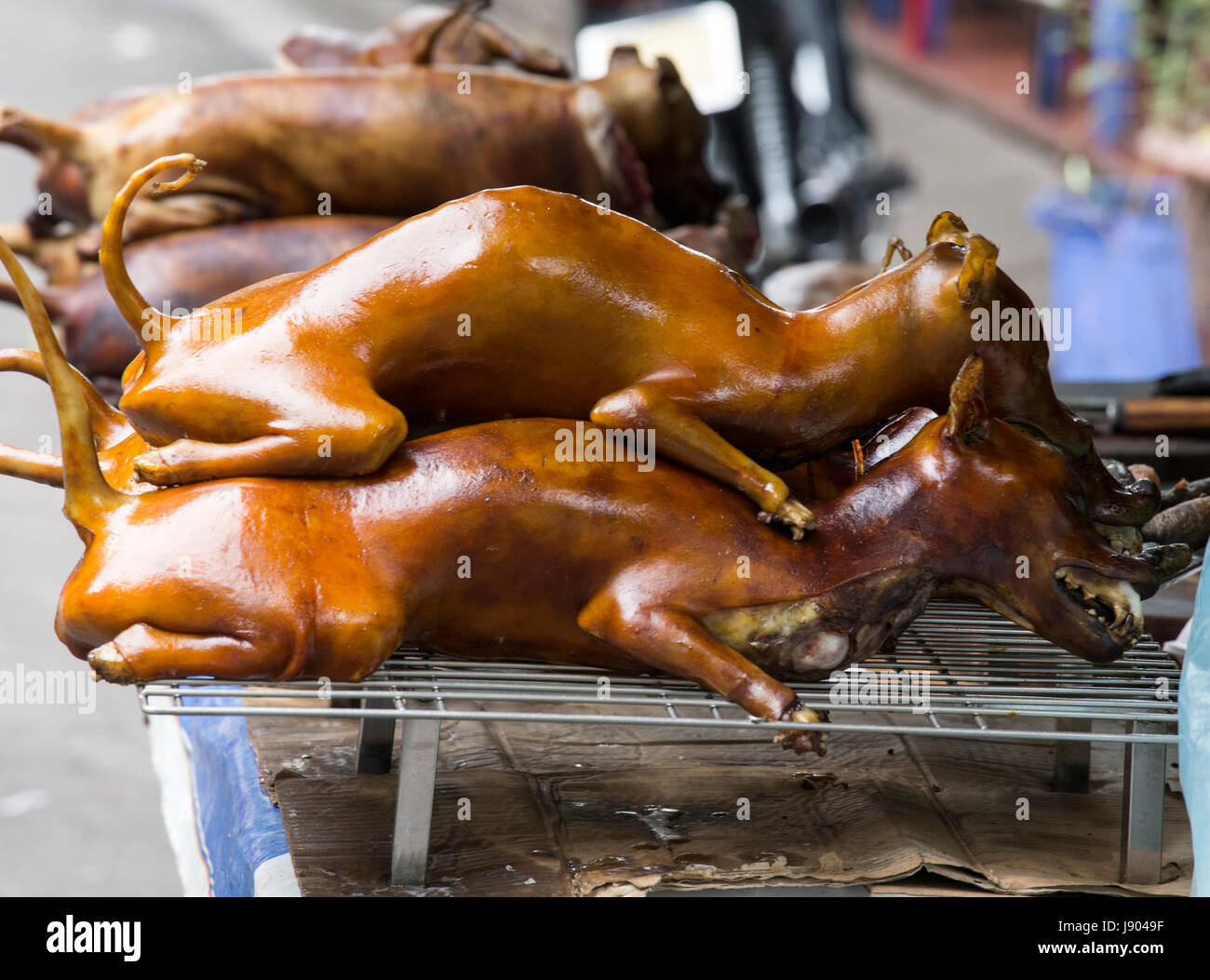 Cooked Dog High Resolution Stock Photography and Images Alamy