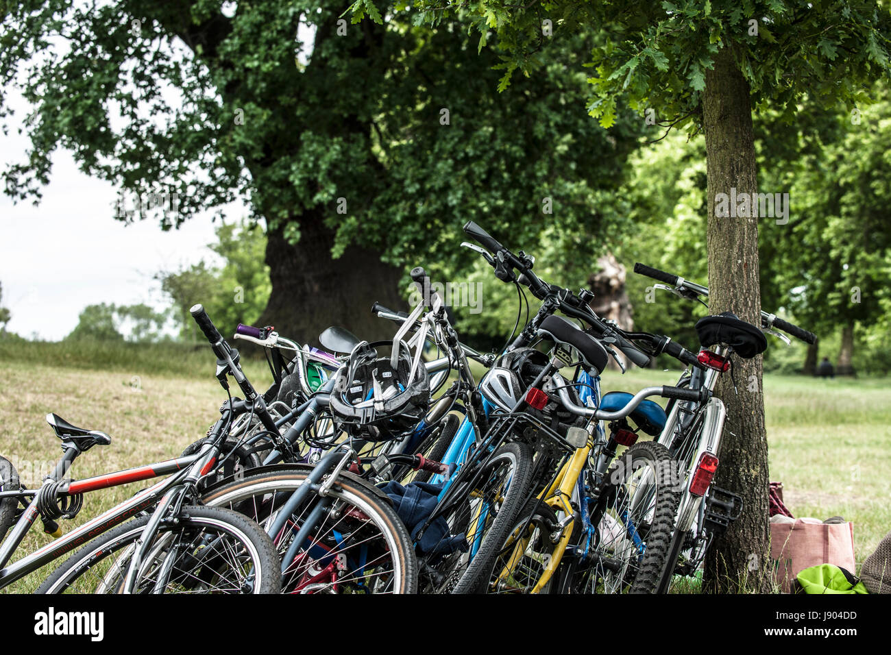 Pile of Bikes leaning against tree Stock Photo