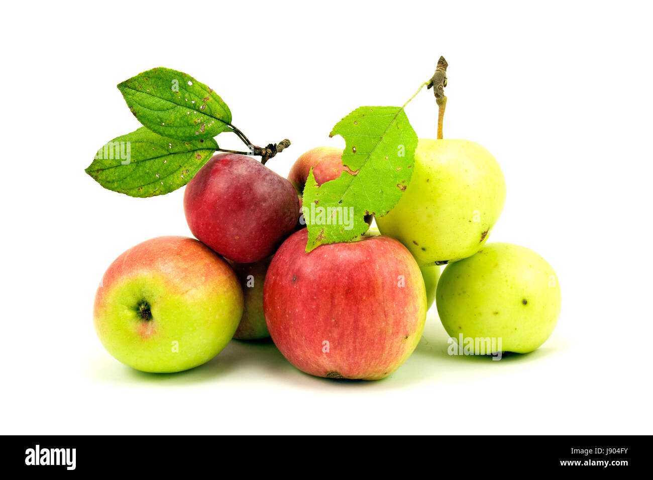 food, aliment, agriculture, farming, fruit, apples, apple, organic, nutrition, Stock Photo