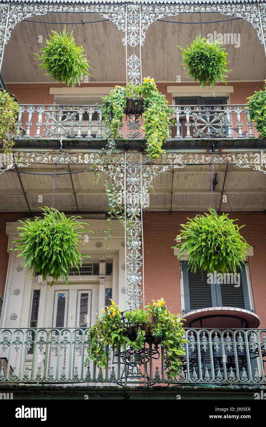 Lush greenery decorating the wrought iron filigree detailing of a typical balcony of a double-gallery building in the French Quarter of New Orleans Stock Photo