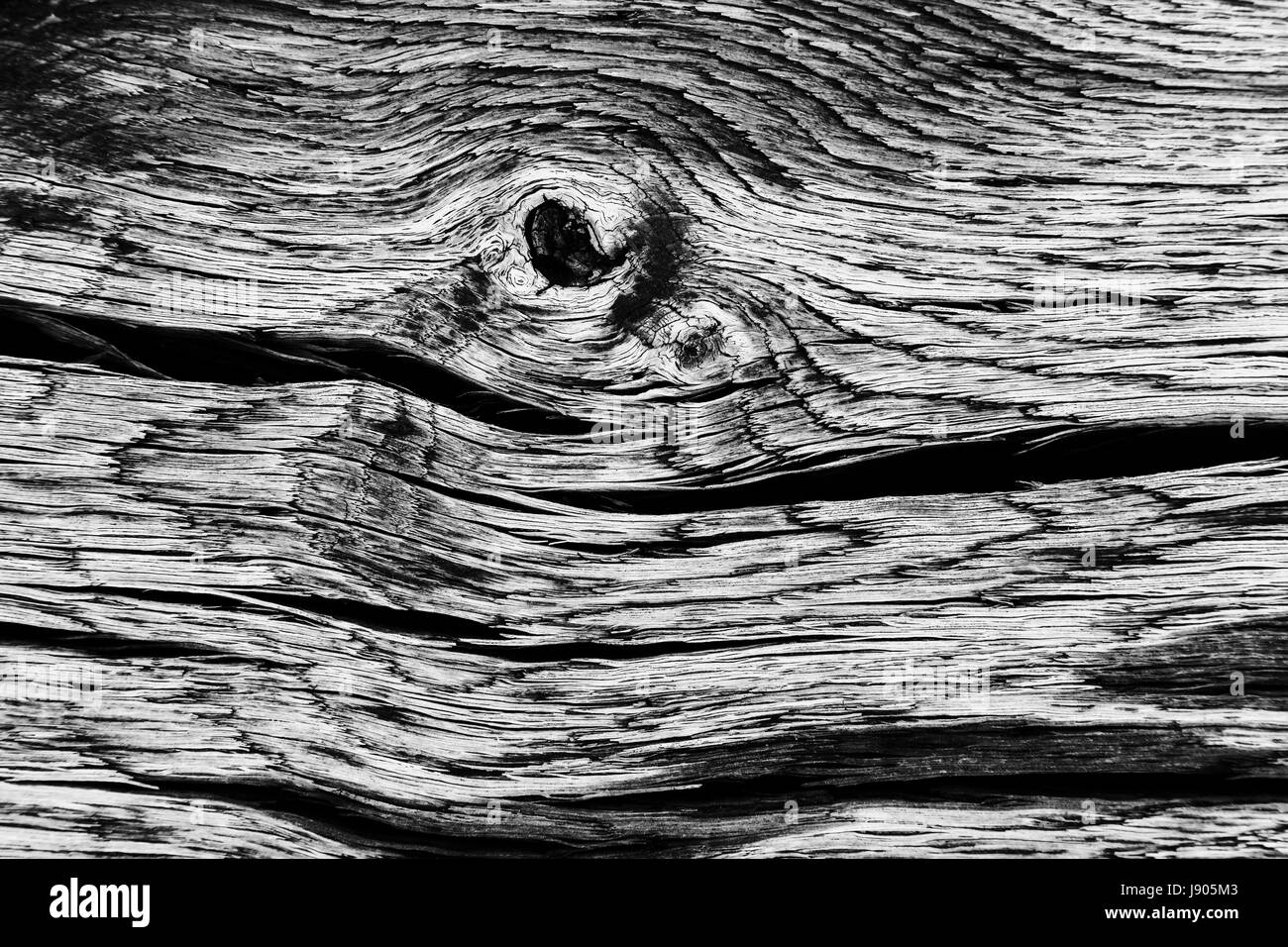 Old Gray cracked wood texture background. black and white wood texture Stock Photo