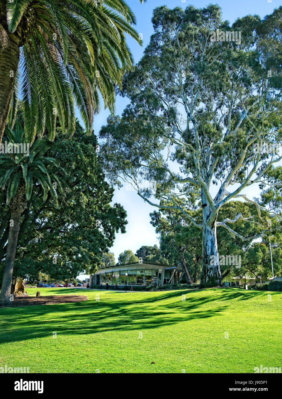 Kings Park Perth Stock Photo Alamy