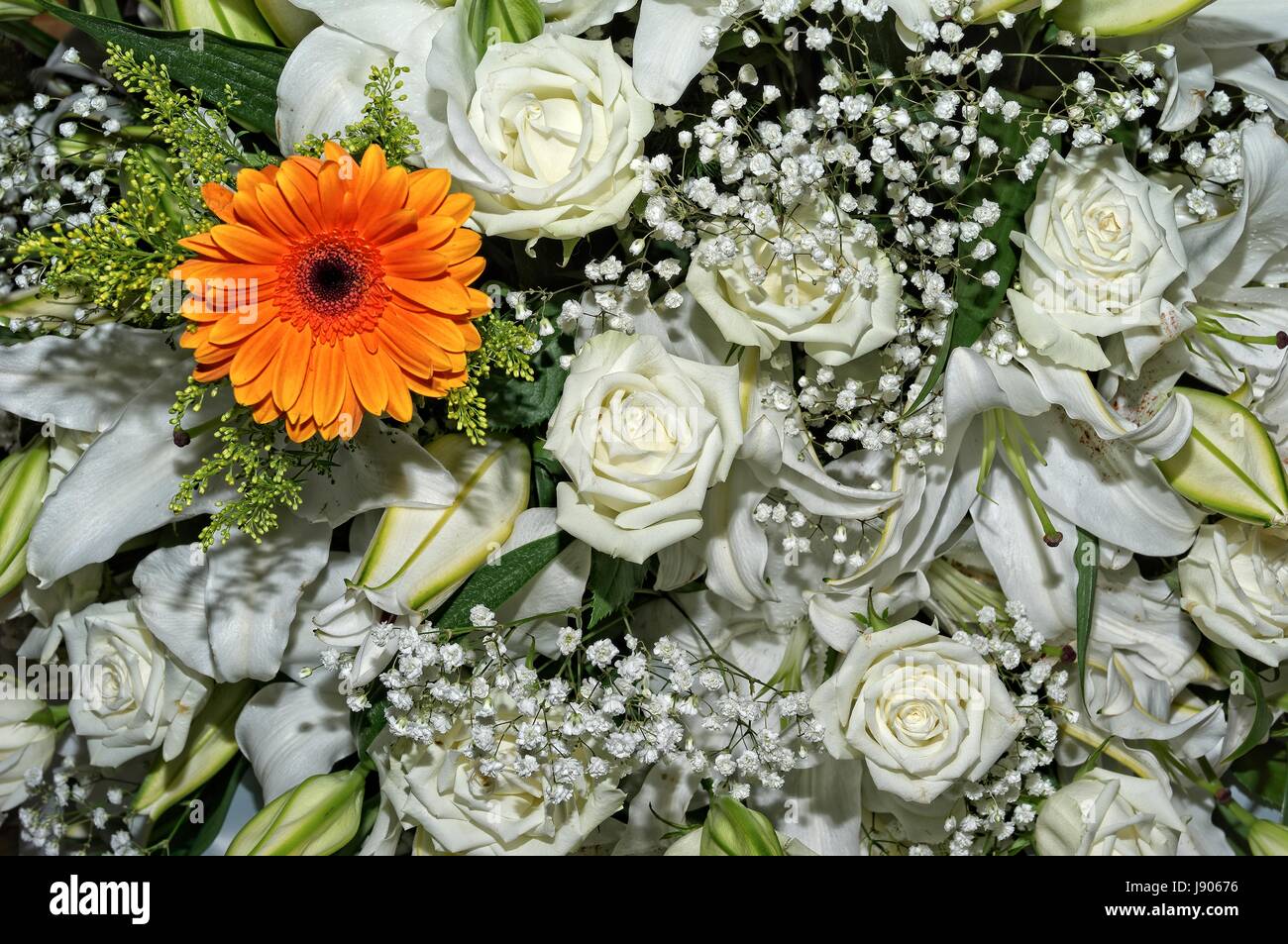 Flush of roses hi-res stock photography and images - Alamy