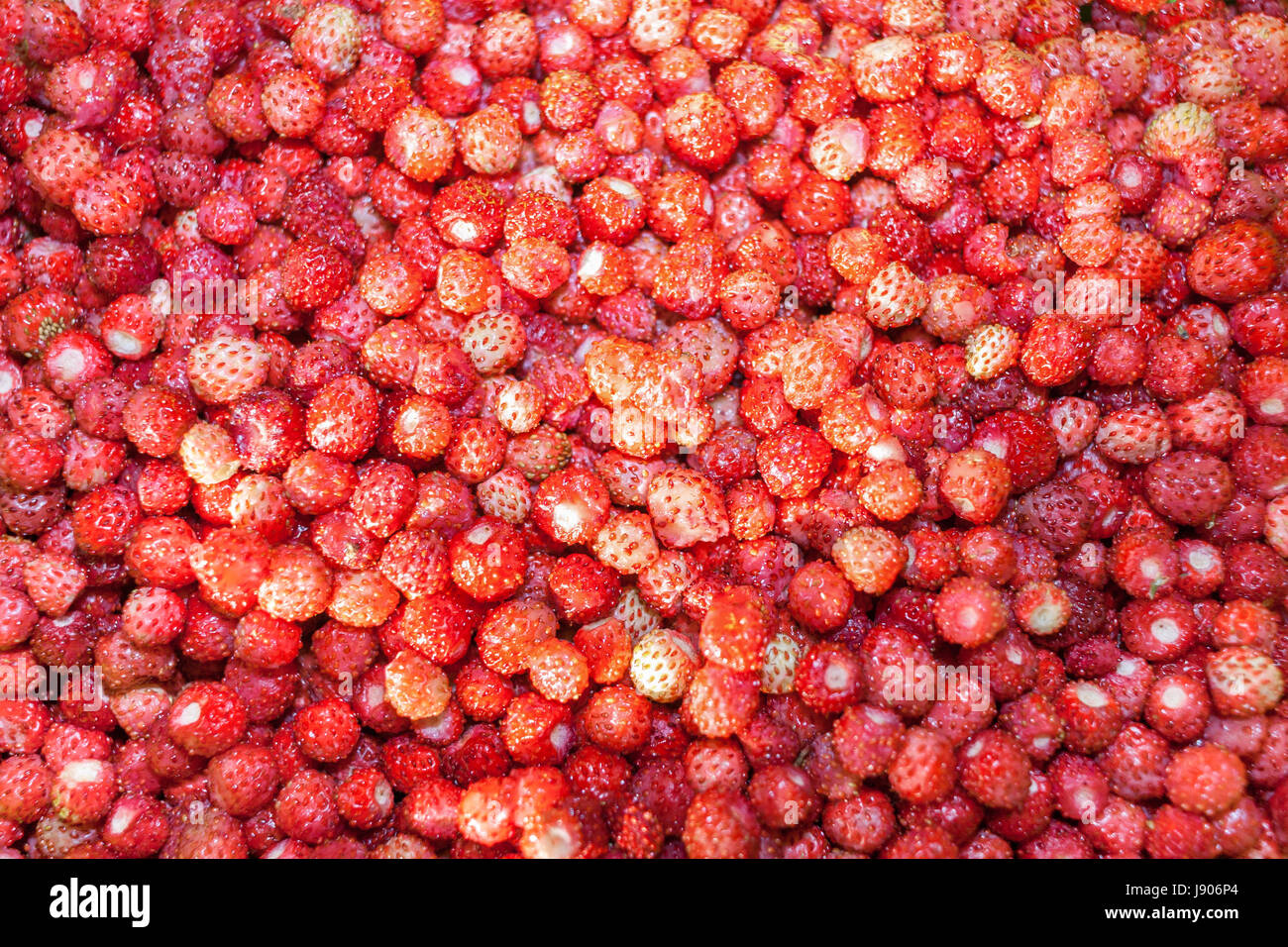 Natural background from berries of red ripe wild strawberry Stock Photo ...
