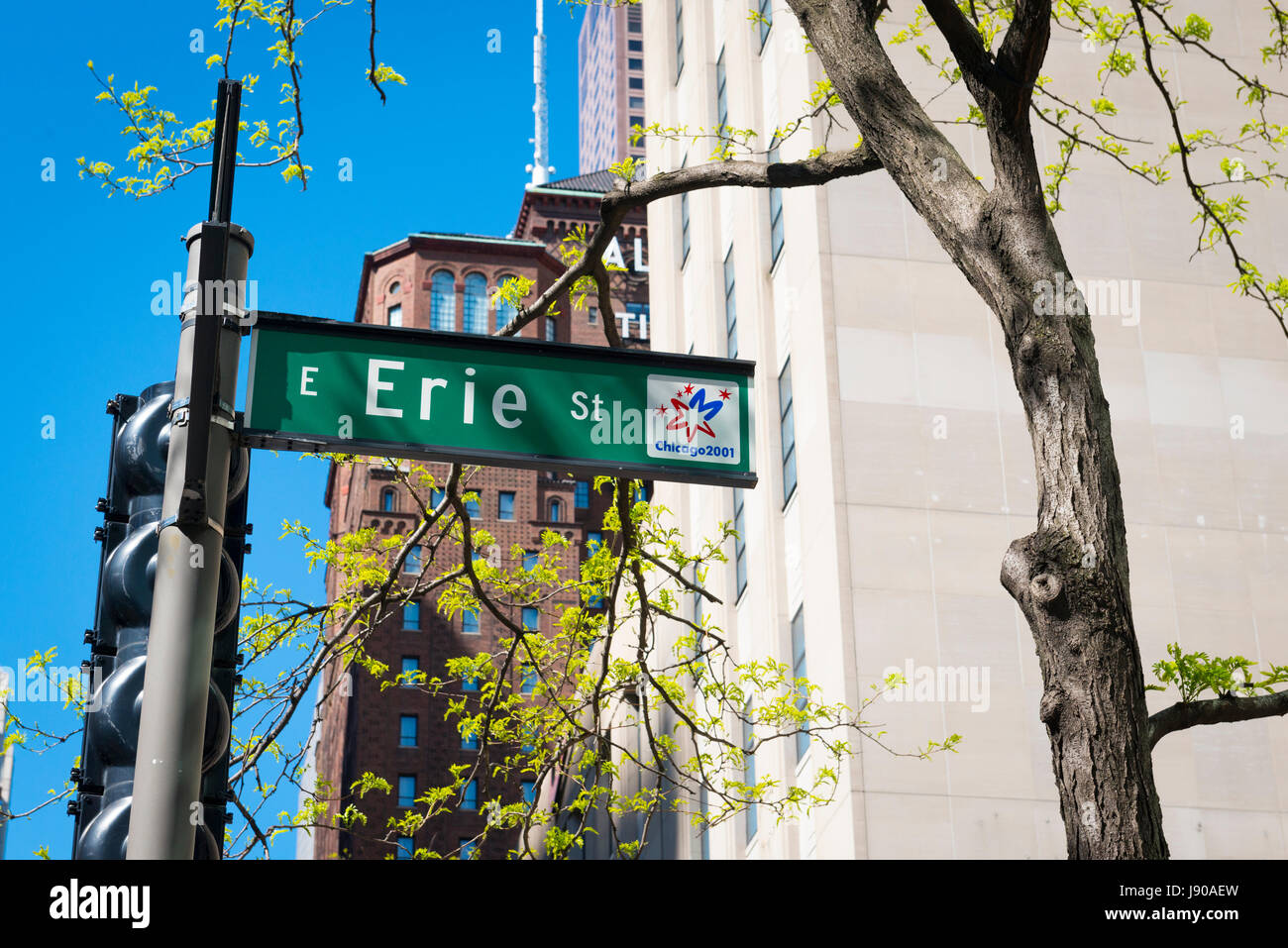 Chicago Illinois Near North Side Magnificent Mile N Michigan Avenue E Erie St street scene street sign tree trees traffic lights signal blue sky Stock Photo