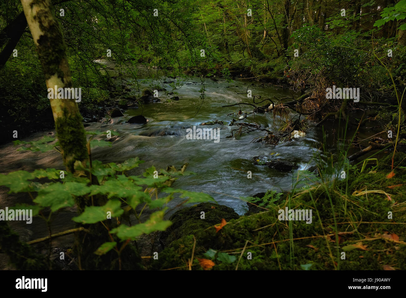 Deerpark, Virginia, Co. Cavan, Ireland Stock Photo Alamy