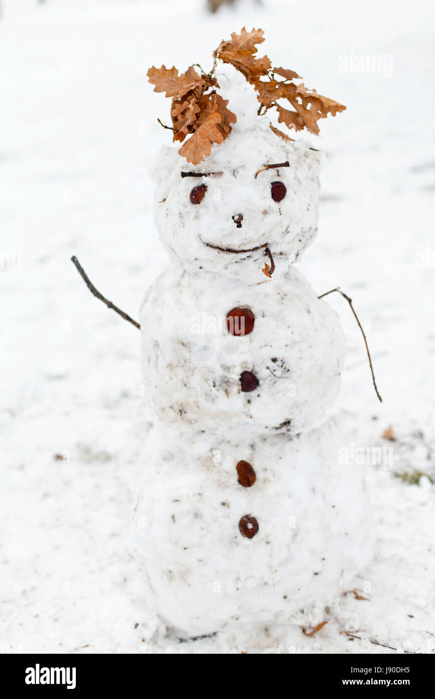 Picture of a funny snowman in the park Stock Photo
