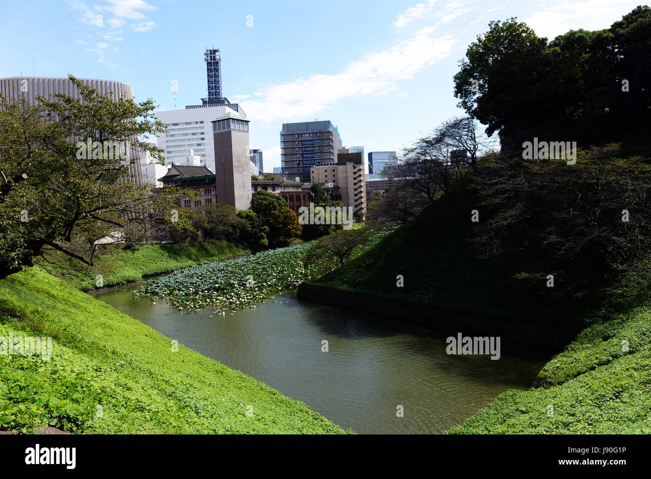 Kitanomaru national garden in Chiyoda, Tokyo, Japan. Stock Photo